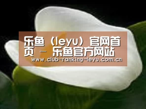 产品名称七