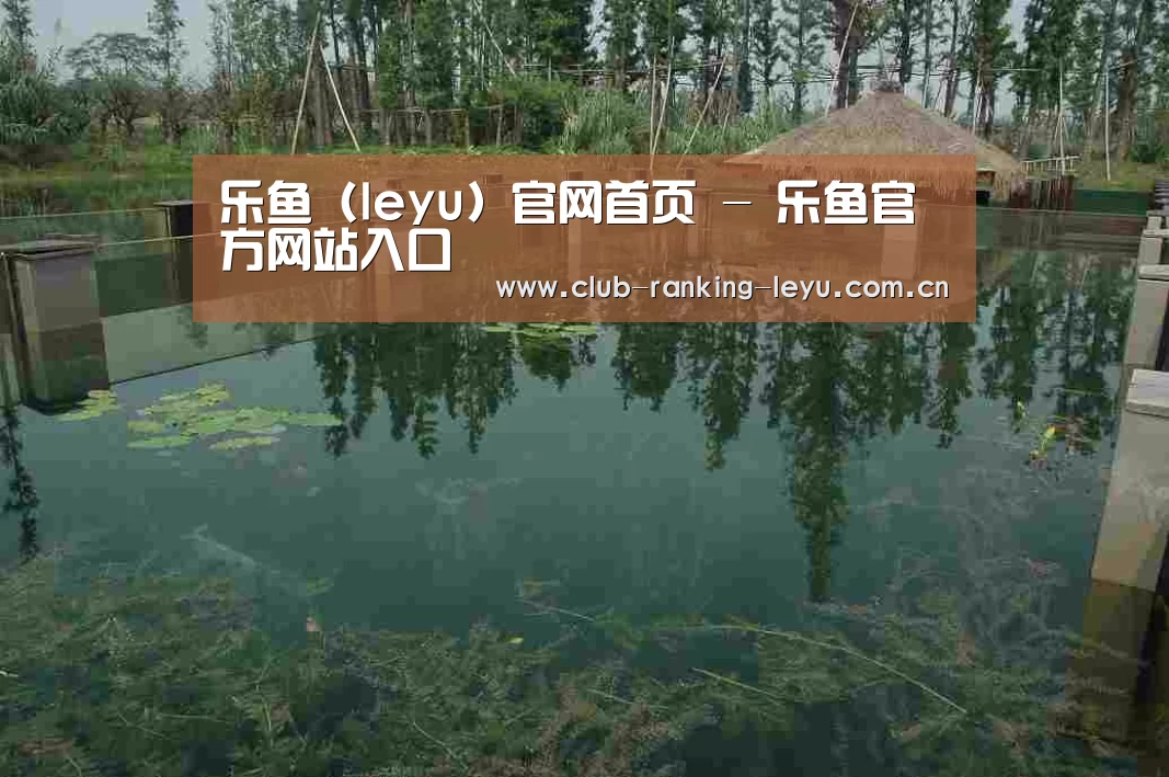 案例展示二