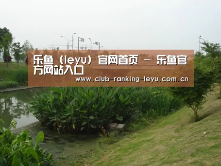 案例展示四