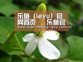 产品名称三