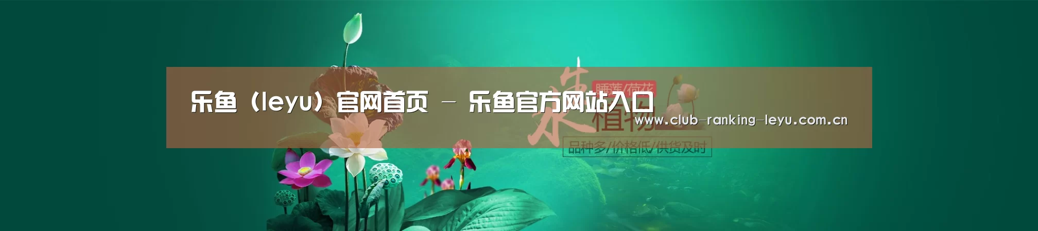鲜花水草花卉网站模板
