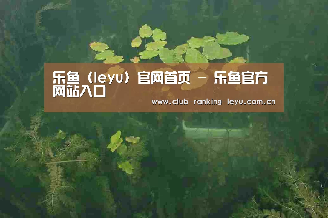 案例展示三(图1)